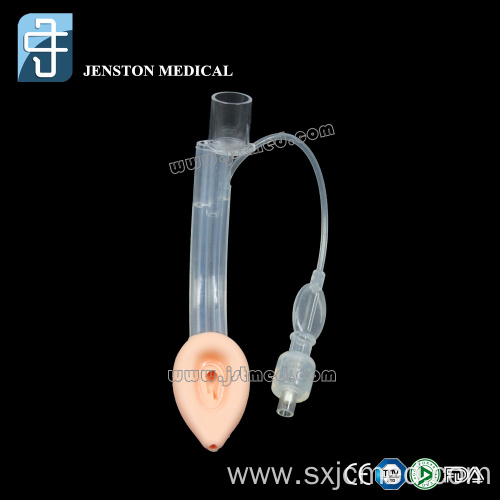 double lumen laryngeal mask airway child and adult